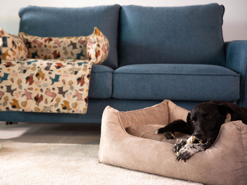 Camas desenfundables outlet para perros